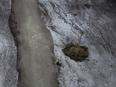 ein jahr auf beton… vielleicht wäre mir packeis lieber gewesen.