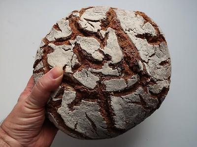 Bild 'brot03'