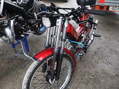 Ein Pärchen Gabelholme in Reserve, man weiß ja nie.