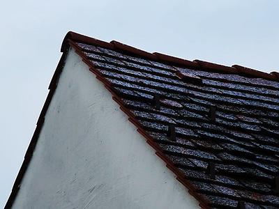 dieser sanfte winter wollte nichts werden, außer etwas kälte.