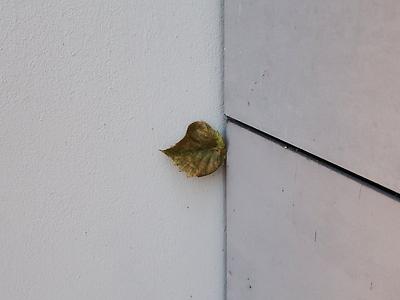 …und dann macht der herbst eben so sachen.