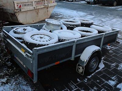 manchmal ertrage ich den lauf der welt nur, wenn ich für eine weile recht unbedeutende dinge betrachte.