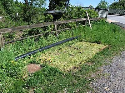 gras und narben, ränder