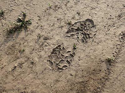 da muß regen gewesen sein