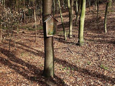 GLD039: Die Baumbilder machen es mir meist schwer, wenn sie nicht so gut auffindbar am Straßenrand bestehen.