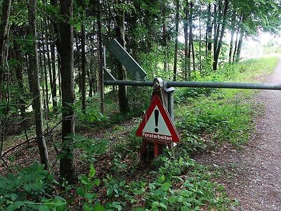 Forststraßen dienen der Bewirtschaftung des Waldes und gelten daher laut Forstgesetz als Wald.