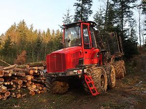 Holzrücken mit dem Forwarder: der Waldboden duckt sich. (Foto: Martin Krusche)