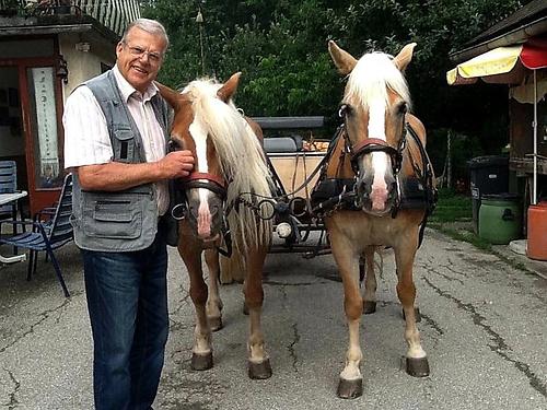 Franz Leiner mit einem Haflinger-Gespann. (Foto: Gabriele Sohar)