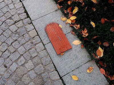 es fallen im herbst also nicht nur blätter...