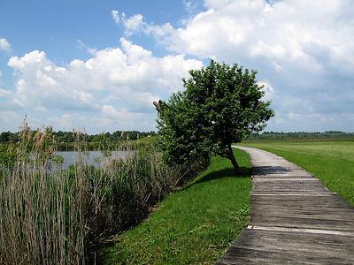 Bild 'jasenovac03'