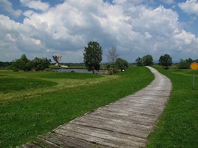 Bild 'jasenovac04'