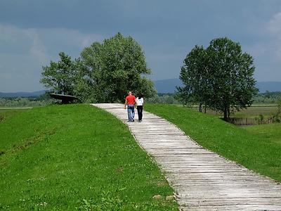 Bild 'jasenovac05'