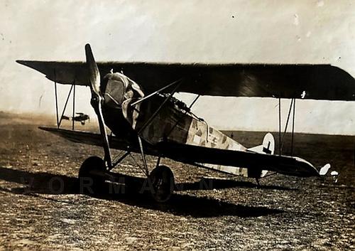 Effizientes Jagdflugzeug: Fokker D.VII. (Foto: Archiv Vormann)