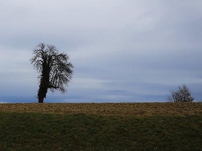 am 2. februar 2020 den hügel bis zur atemnot erkundet. in england wurde gefeiert und getobt. hier war stille.