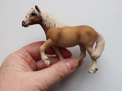 ein gaul für schwächere einkommensschichten: mini-haflinger.