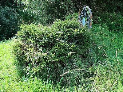 GLD008: Marterl nahe dem Autobahnzubringer Gleisdorf Süd (Falsche Zuweisung? Hofstätten?)