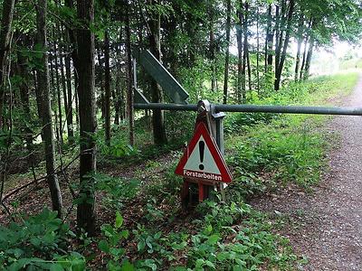 Forststraßen dienen der Bewirtschaftung des Waldes und gelten daher laut Forstgesetz als Wald.