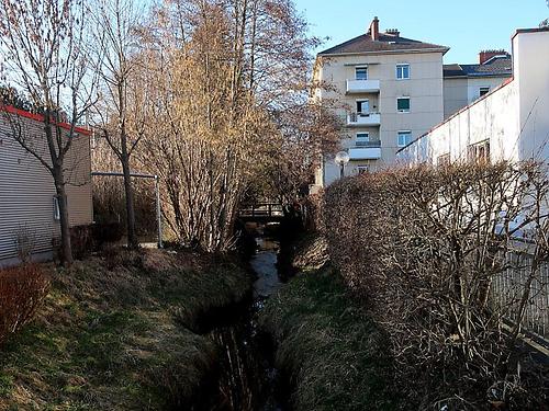 Der Gleisbach (Foto: M. Krusche)