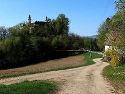 Das nahe Schloß Freiberg, Stammsitz der Kulturinitiative Fokus Freiberg. (Foto: Martin Krusche)