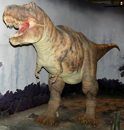 Tyrannosaurus_Modell