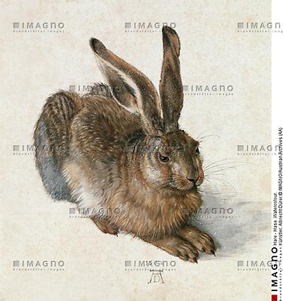 Dürer-Hase, Bild aus Imagno