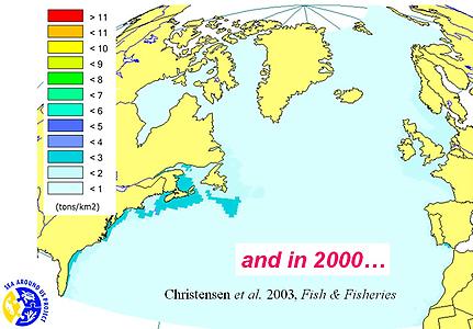 Fischpopulation um 2000