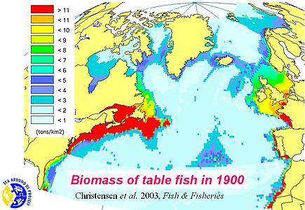 Fischpopulation um 1900