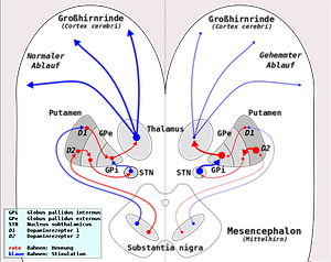 755px-Parkinson_-_Ablauf_auf_funktioneller_Ebene.svg.png