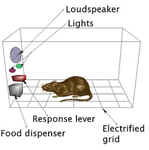 Skinner_box_scheme_01.png