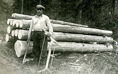 Quer durch Europa das gleiche Bild: der Holzfäller. (Foto Roos, Public Domain)