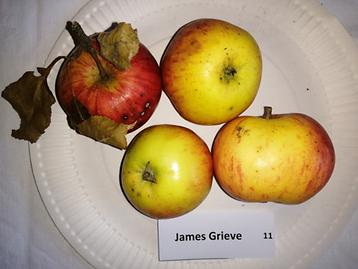 11 James Grieve