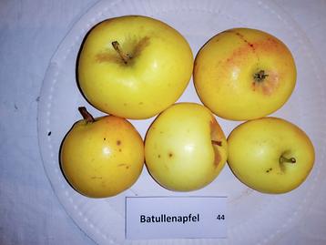 44 Batullenapfel