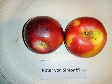 51 Roter von Simonffi