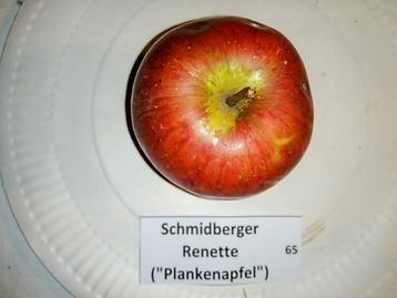 65 Schmidberger Renette