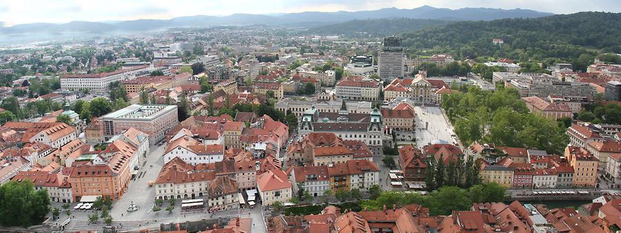 Panoramic View from the Observation Tower