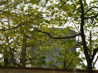 Grünes Blattwerk auf Bäume und dahinter der große Flakturm im Augarten in der Wiener Leopoldstadt