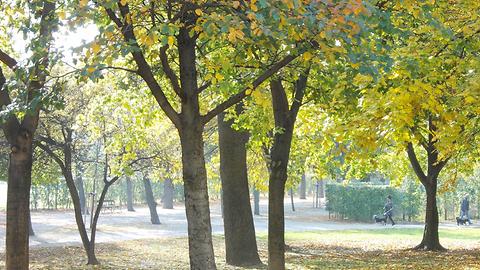 Herbststimmung, Parkanlage, Augarten, Wien-Leopoldstadt