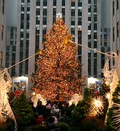 Christmas tree at Rockefeller Plaza, New York
