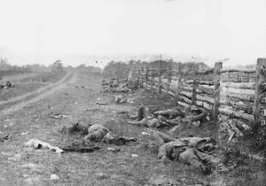 Gefallene nach der Schlacht am Antietam, September 1862