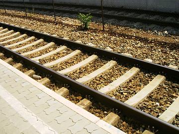 Bhf. Heiligenstadt. Betonschwellen. (22. Juni 2008