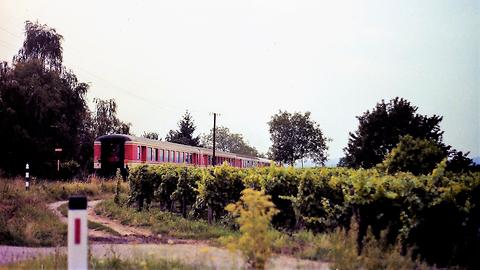 Nebenbahn der Westbahn. Eisenbahnkreuzung zwischen Lambach und Wels (Sommer 1989)