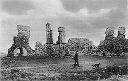 Ruine der Burg Kreuzenstein bei Korneuburg, vor dem Wiederaufbau, 1868