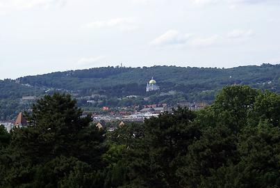 Blick vom Schönbrunner Schlosspark auf die weithin sichtbare Kirche am Steinhof - vergoldete Kuppel!