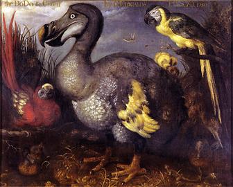 Roelant Savery malte in den späten 1620er Jahren den letzten Dodo, einen großen fluguntauglichen Vogel; British Museum - Foto: Wikimedia