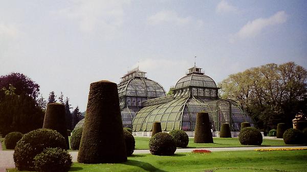 Palmenhaus, Schlosspark Schönbrunn - Foto: Ernst Zentner (1994 Mai?)