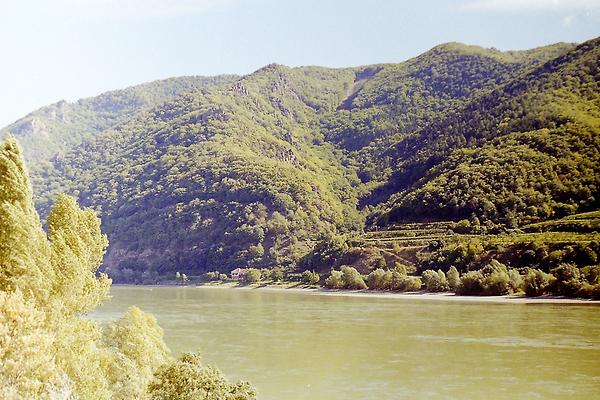 Wachau Donautal, vom Aussichtsturm zu St. Michael an der Donau - Rechts-mitte über der Donau Terrassen mit Weingärten, direkt an den Berghängen - Foto: Ernst Zentner (August 1988)