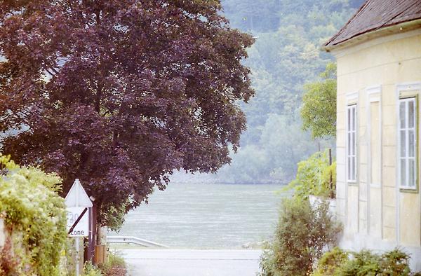 Wachau, Donautal, Weissenkirchen(?). Ein Blick zum Donaufluss, der in dieser Momentaufnahme wie ein See wirkt. Davor am Ufer die Bundesstraße 3 - Foto: Ernst Zentner (Sommer 1988?)