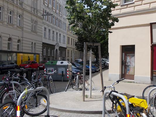 Irgendwo in Wien - Heute. (10. Juni 2019). Der Baum ist schon etwas fülliger, doch der Boden erinnert an eine Wüste