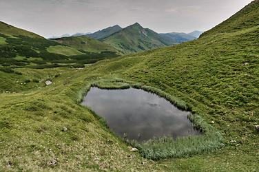 Oberhalb der Schwabergeralm in Blickrichtung Rottenmanner Tauern