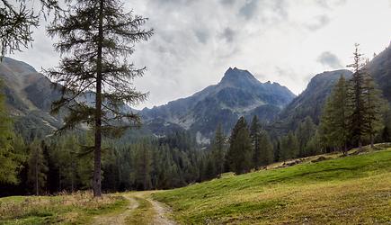 Blickrichtung Liesingtörl und Schrimpfkogel ( Zur Namensherleitung )